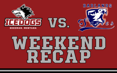 Icedogs Vs. Sabres Weekend Recap